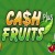 Cash Fruits Plus